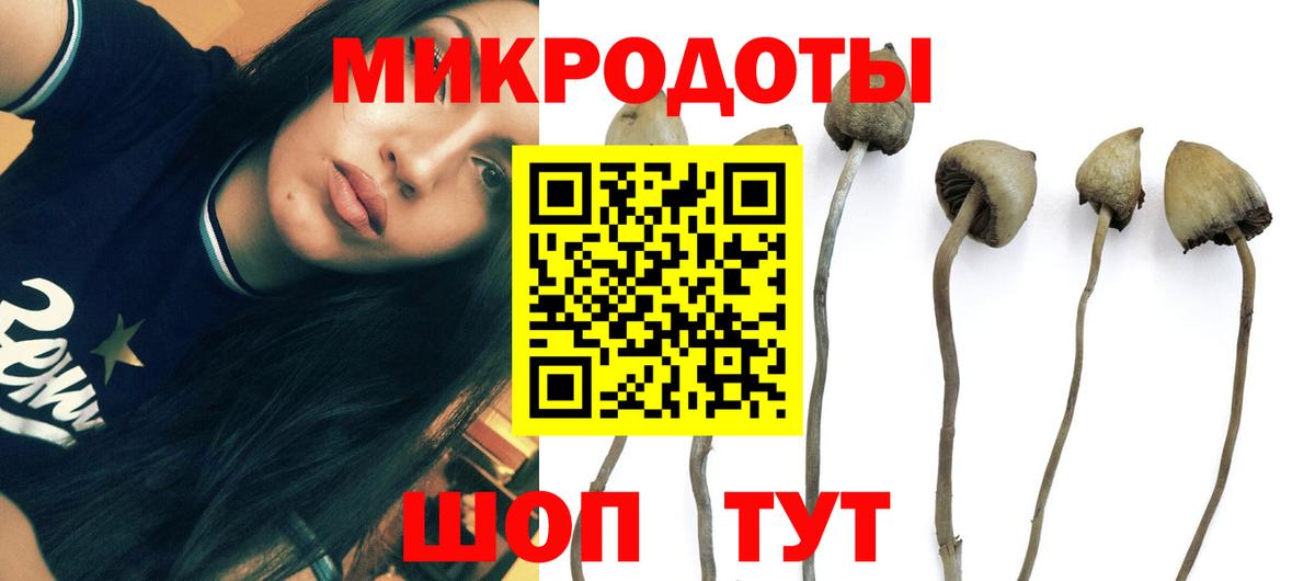 Галлюциногенные грибы ЛСД Углич